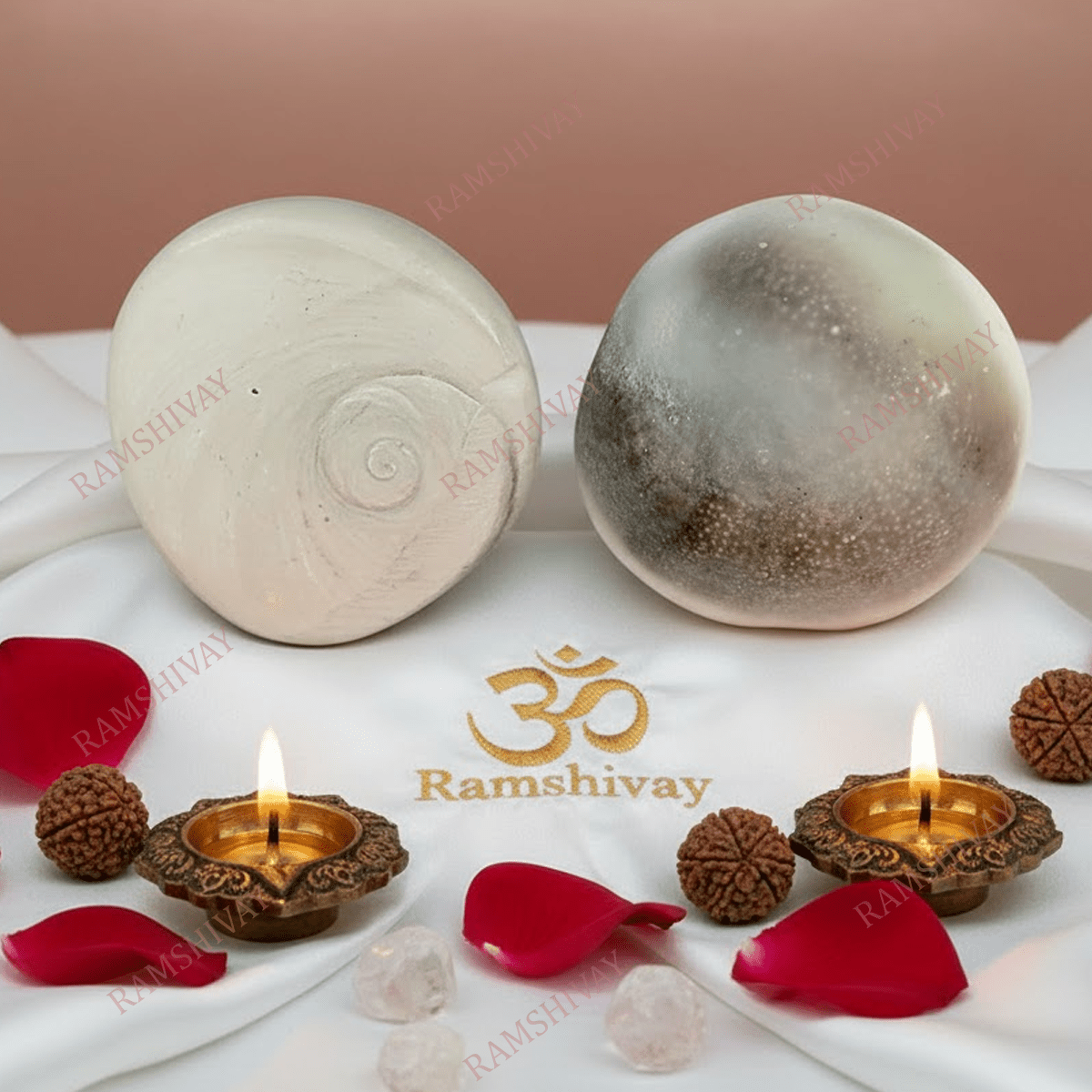 Big Size Gomti Chakra Set of 2 - Natural Healing for Wealth & Protection – Ramshivay - Ramshivay
