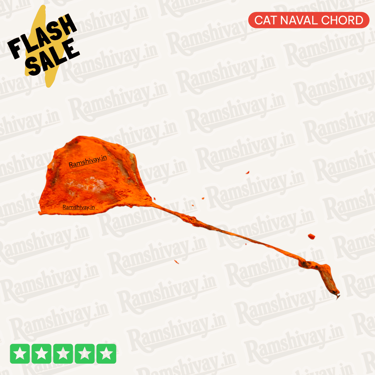 Billi Ki Jer – Natural and Certified Billi ki Naal (Cat Naval Chord) with Positive Energy | Protection & Success Talisman – Ramshivay - Ramshivay