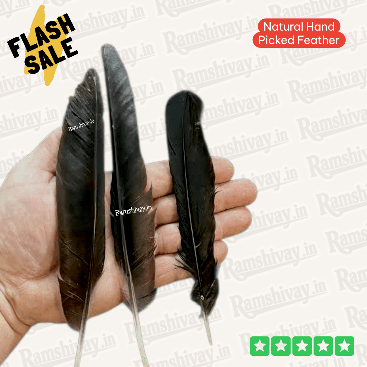 Combo of Owl & Crow Feathers (Ullu Ka Pankh + Kauwe Ka Pankh) with Lab Certificate | Remedies, Protection & Prosperity – Ramshivay - Ramshivay