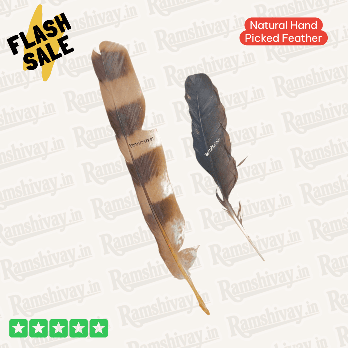 Combo of Owl & Crow Feathers (Ullu Ka Pankh + Kauwe Ka Pankh) with Lab Certificate | Remedies, Protection & Prosperity – Ramshivay - Ramshivay