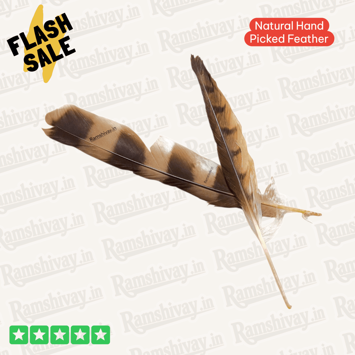 Combo of Owl & Crow Feathers (Ullu Ka Pankh + Kauwe Ka Pankh) with Lab Certificate | Remedies, Protection & Prosperity – Ramshivay - Ramshivay