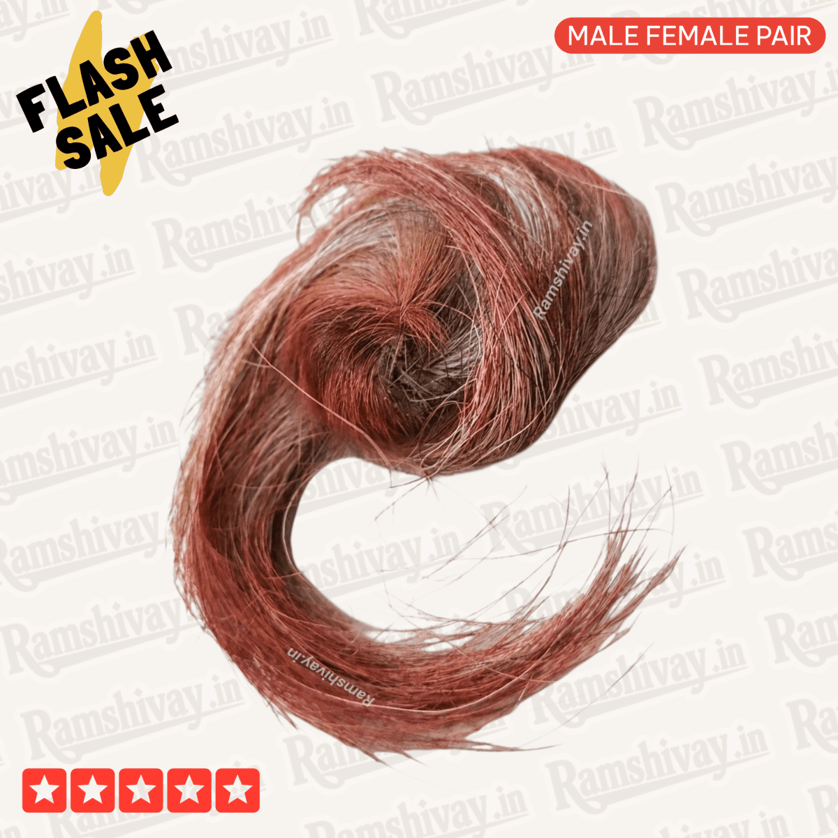 Combo of Siyar Singhi (Gidar Singhi) + Billi Ki Jer with Only Prepaid Order Offer | Protection, Nazar Dosh & Prosperity – Ramshivay - Ramshivay