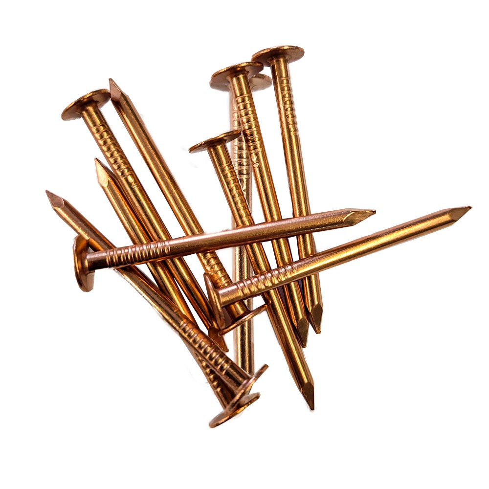 Copper Nails Set of 10 - Vastu Correction & Healing for Home Energy – Ramshivay - Ramshivay