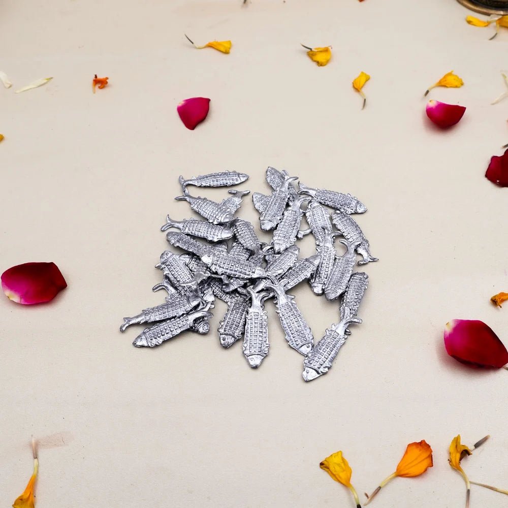 Lead Fish (Ranga Ki Machli) - Traditional Metal Fish for Healing & Spiritual Use – Ramshivay - Ramshivay