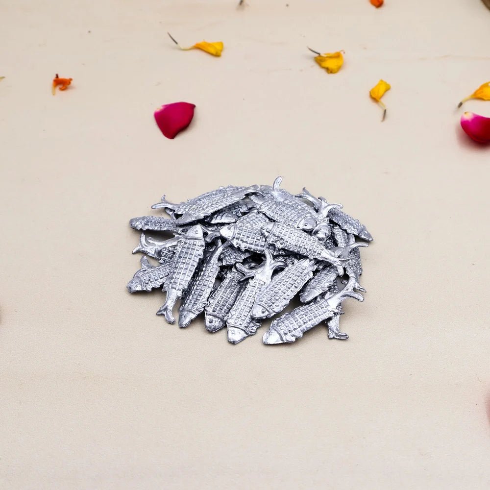Lead Fish (Ranga Ki Machli) - Traditional Metal Fish for Healing & Spiritual Use – Ramshivay - Ramshivay