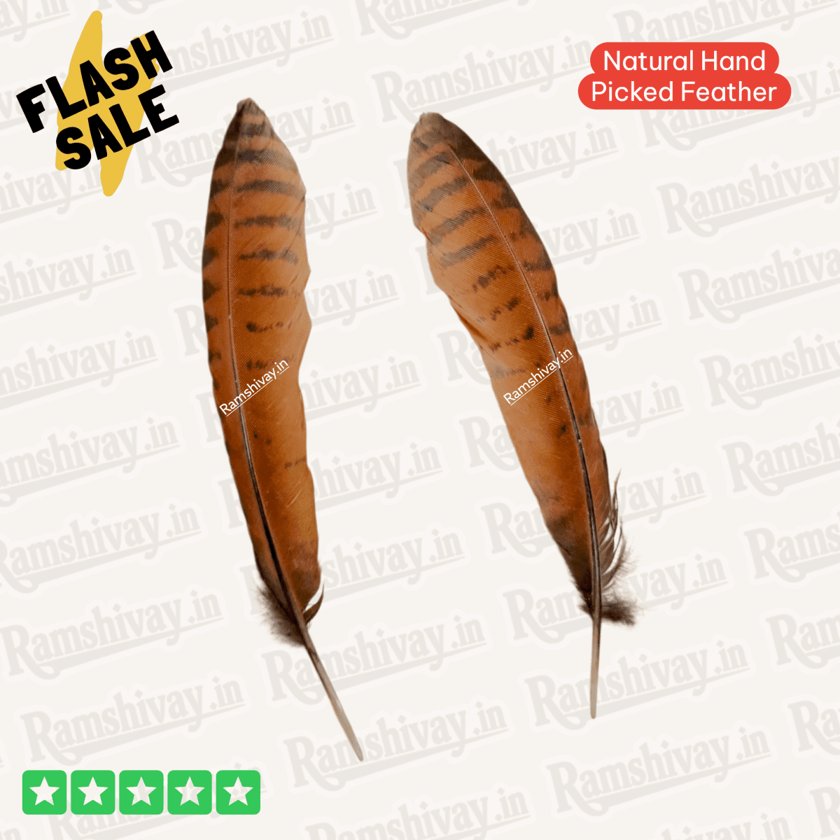 Natural Eagle Feather (Garud Pankh) with Lab Certificate | Remedies, Protection & Positivity – Ramshivay - Ramshivay