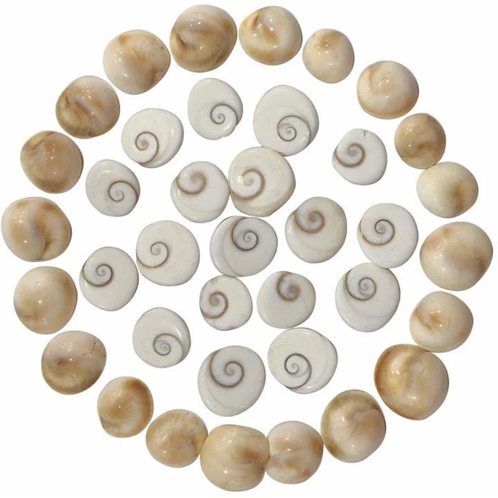 Natural Gomti Chakra Set of 10 - Prosperity Energy for Wealth & Vastu – Ramshivay - Ramshivay