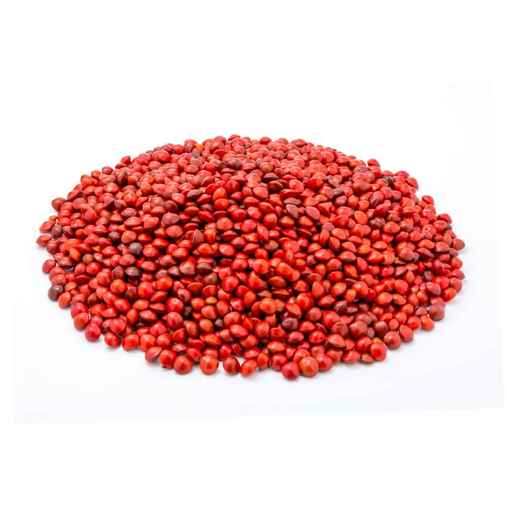 Natural Rakt Gunja 250 gm with Red Gunja Seeds | For Pooja & Ayurvedic Use – Ramshivay - Ramshivay