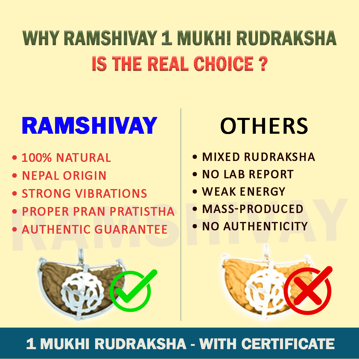 Original 1 Mukhi Rudraksha with Lab Certificate for Spiritual Growth – Ramshivay - Ramshivay