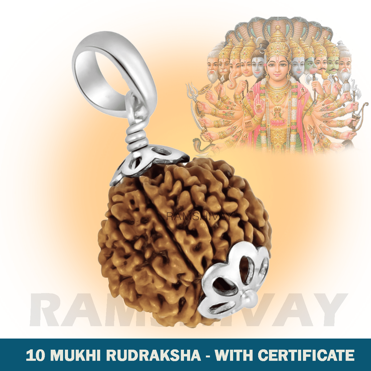 Original 10 Mukhi Rudraksha with Lab Certificate for Protection & Peace – Ramshivay - Ramshivay
