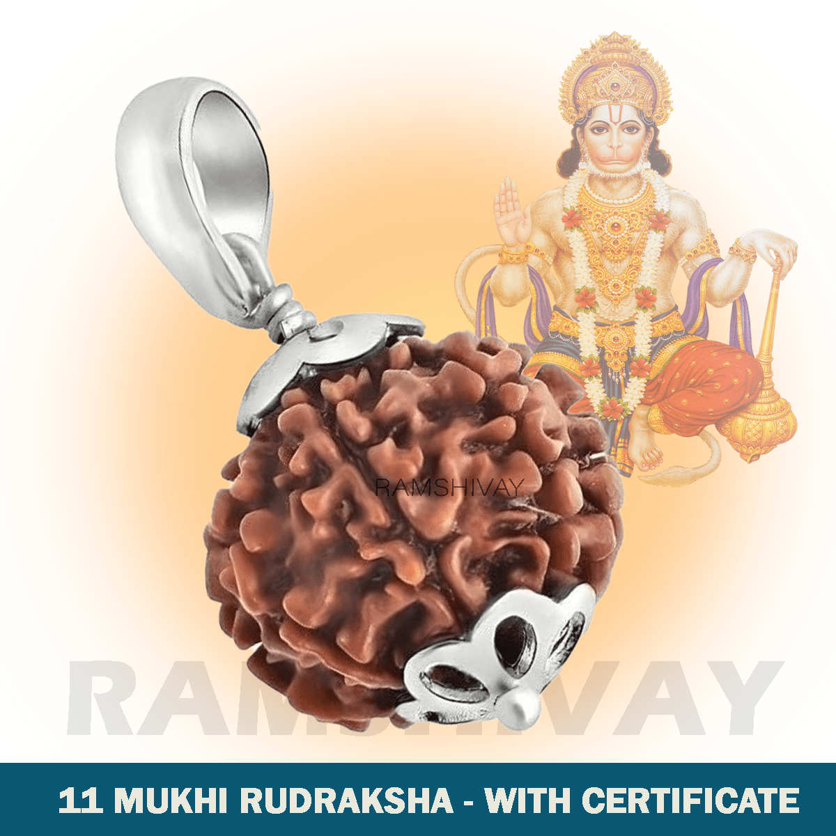 Original 11 Mukhi Rudraksha with Lab Certificate for Courage & Power – Ramshivay - Ramshivay