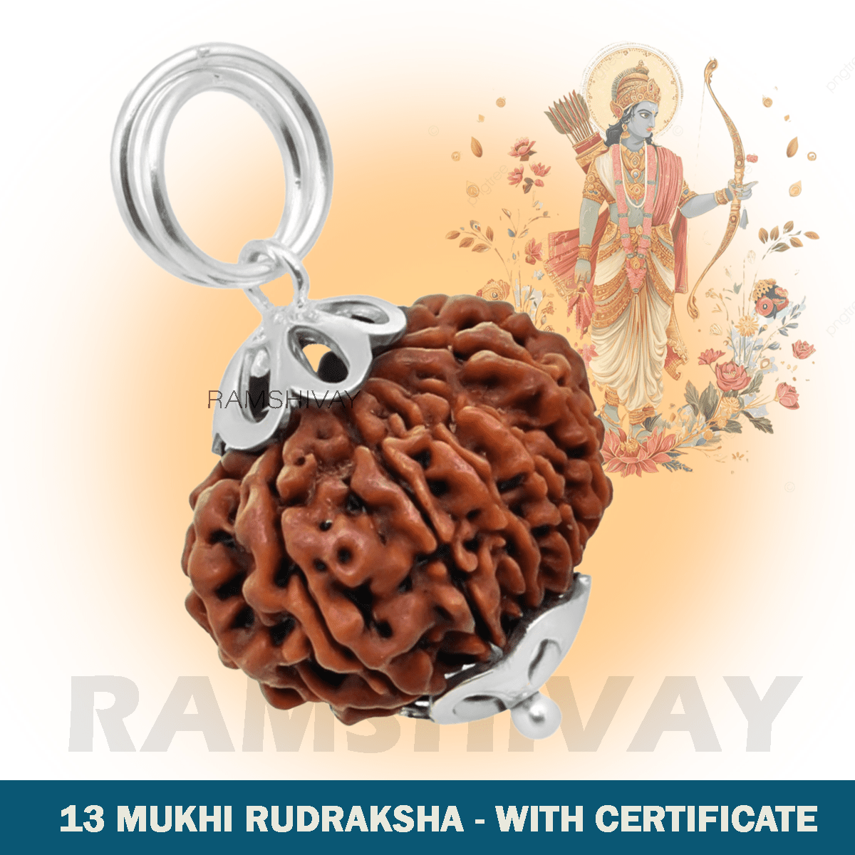 Original 13 Mukhi Rudraksha with Lab Certificate for Attraction & Success – Ramshivay - Ramshivay
