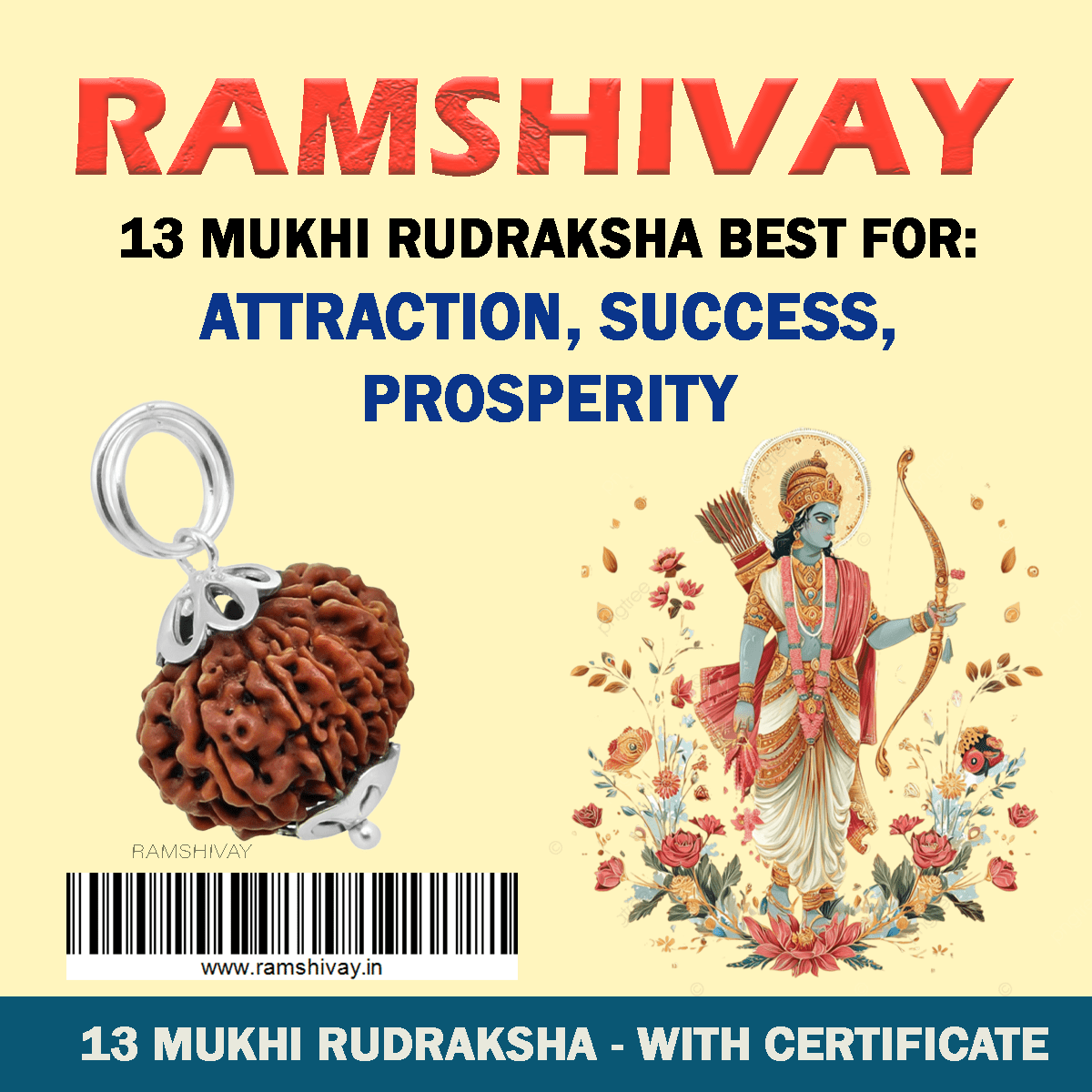 Original 13 Mukhi Rudraksha with Lab Certificate for Attraction & Success – Ramshivay - Ramshivay