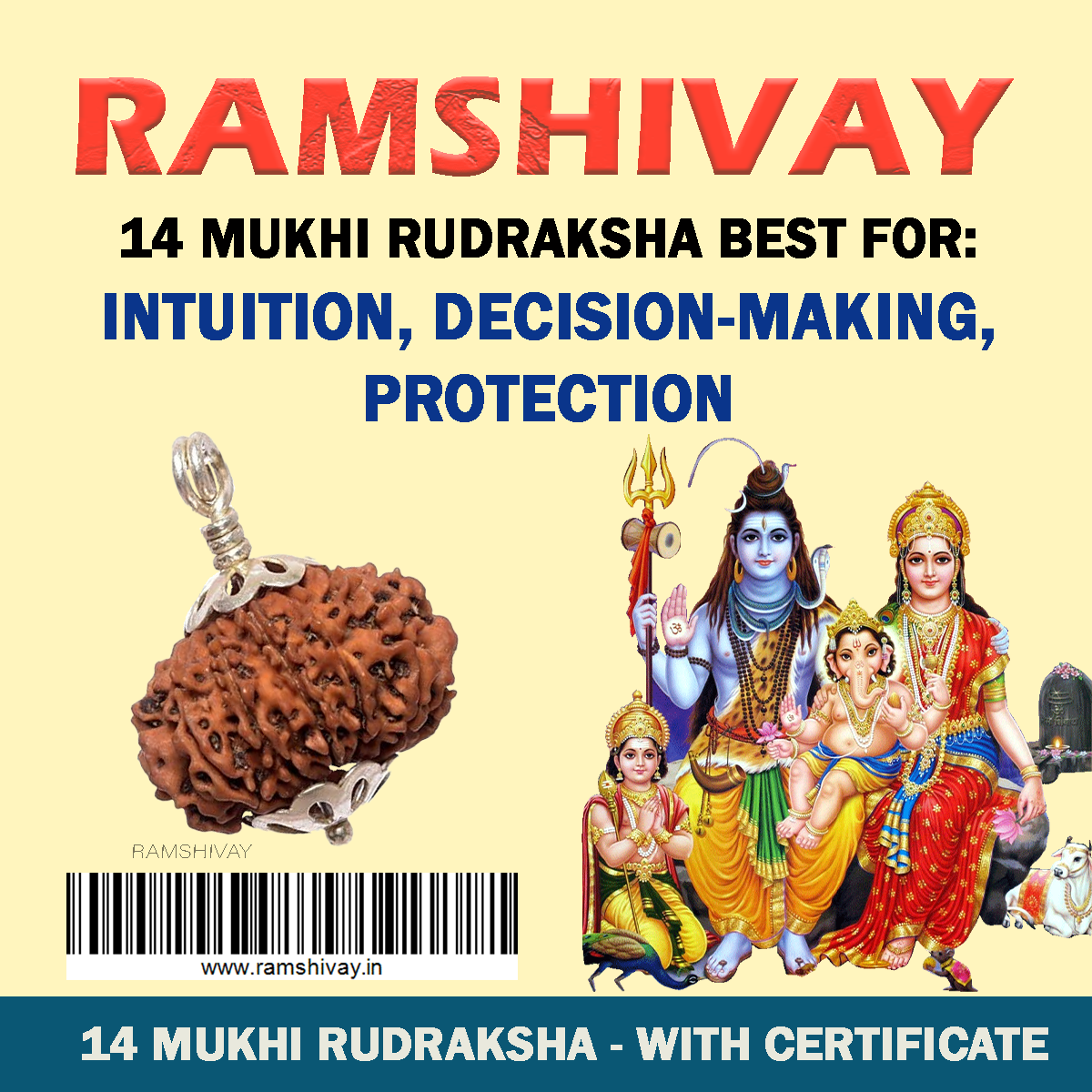 Original 14 Mukhi Rudraksha with Lab Certificate for Intuition & Protection – Ramshivay - Ramshivay