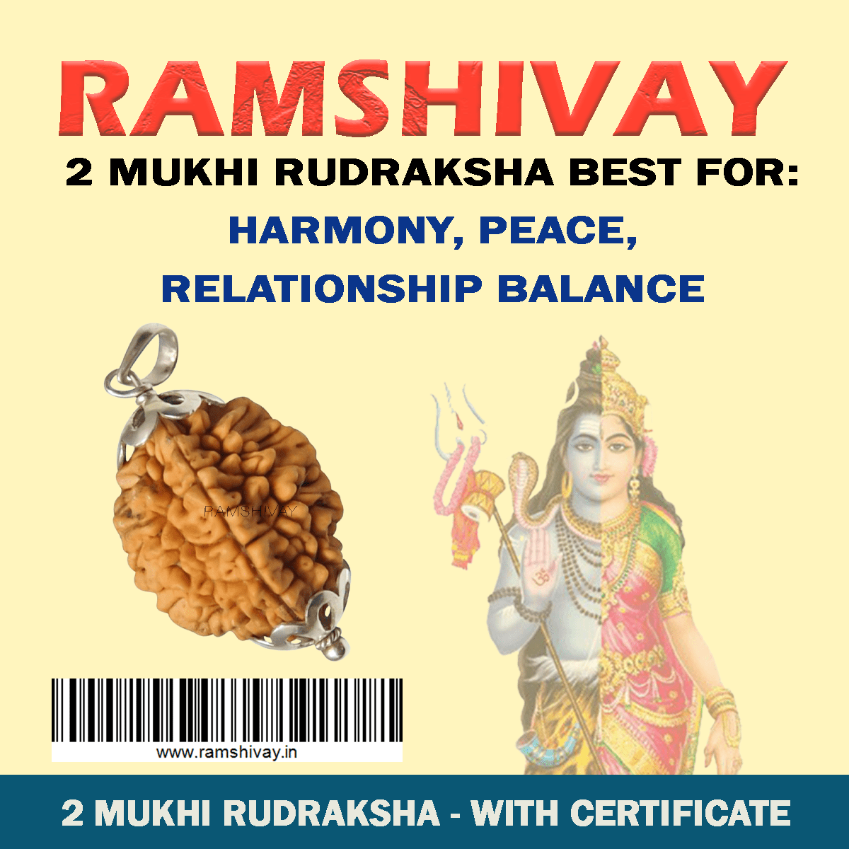 Original 2 Mukhi Rudraksha with Lab Certificate for Relationship Harmony – Ramshivay - Ramshivay