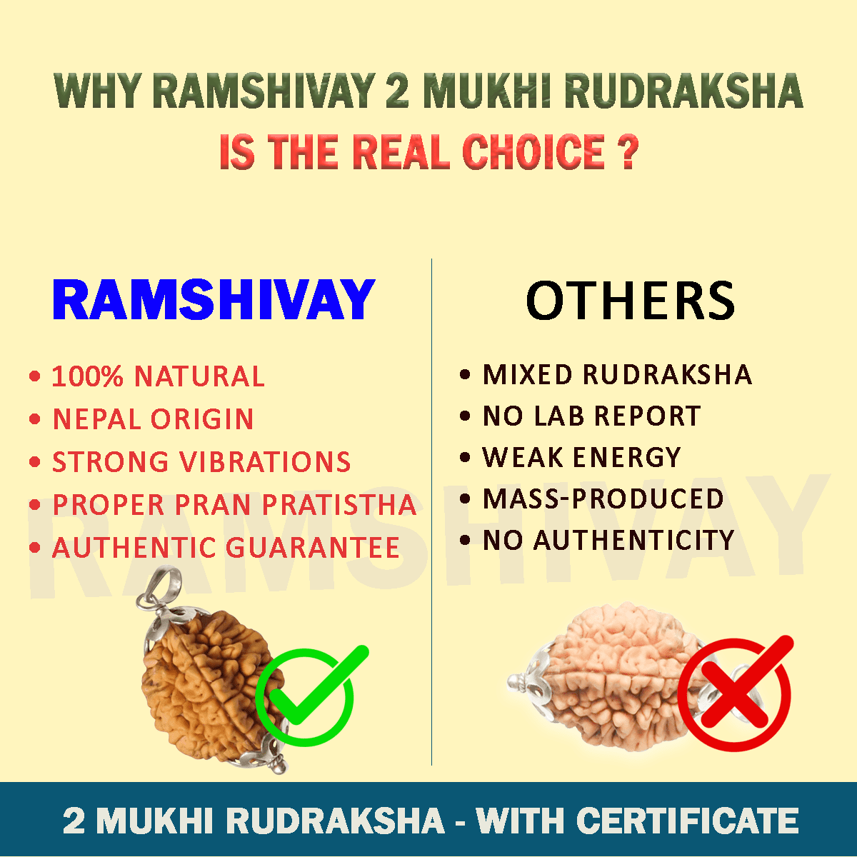 Original 2 Mukhi Rudraksha with Lab Certificate for Relationship Harmony – Ramshivay - Ramshivay