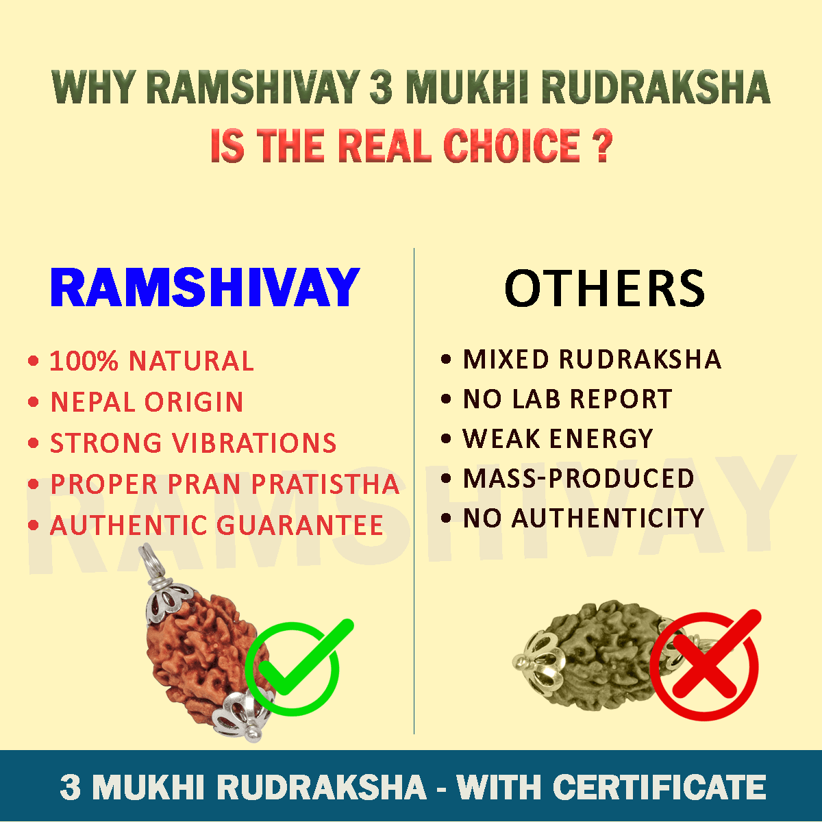 Original 3 Mukhi Rudraksha with Lab Certificate for Stress Relief & Healing – Ramshivay - Ramshivay