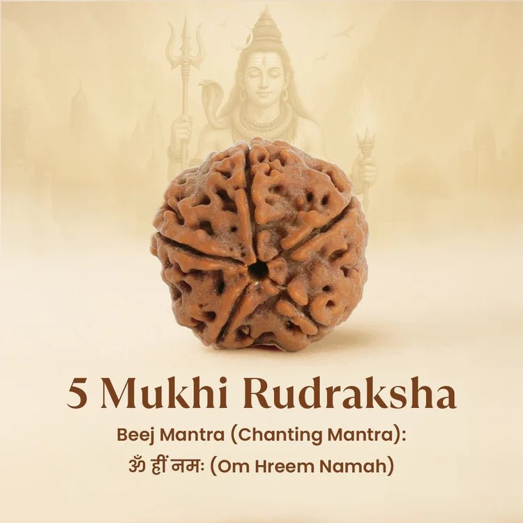 Original 5 Mukhi Rudraksha Bracelet with Lab Certificate for Peace & Health – Ramshivay - Ramshivay