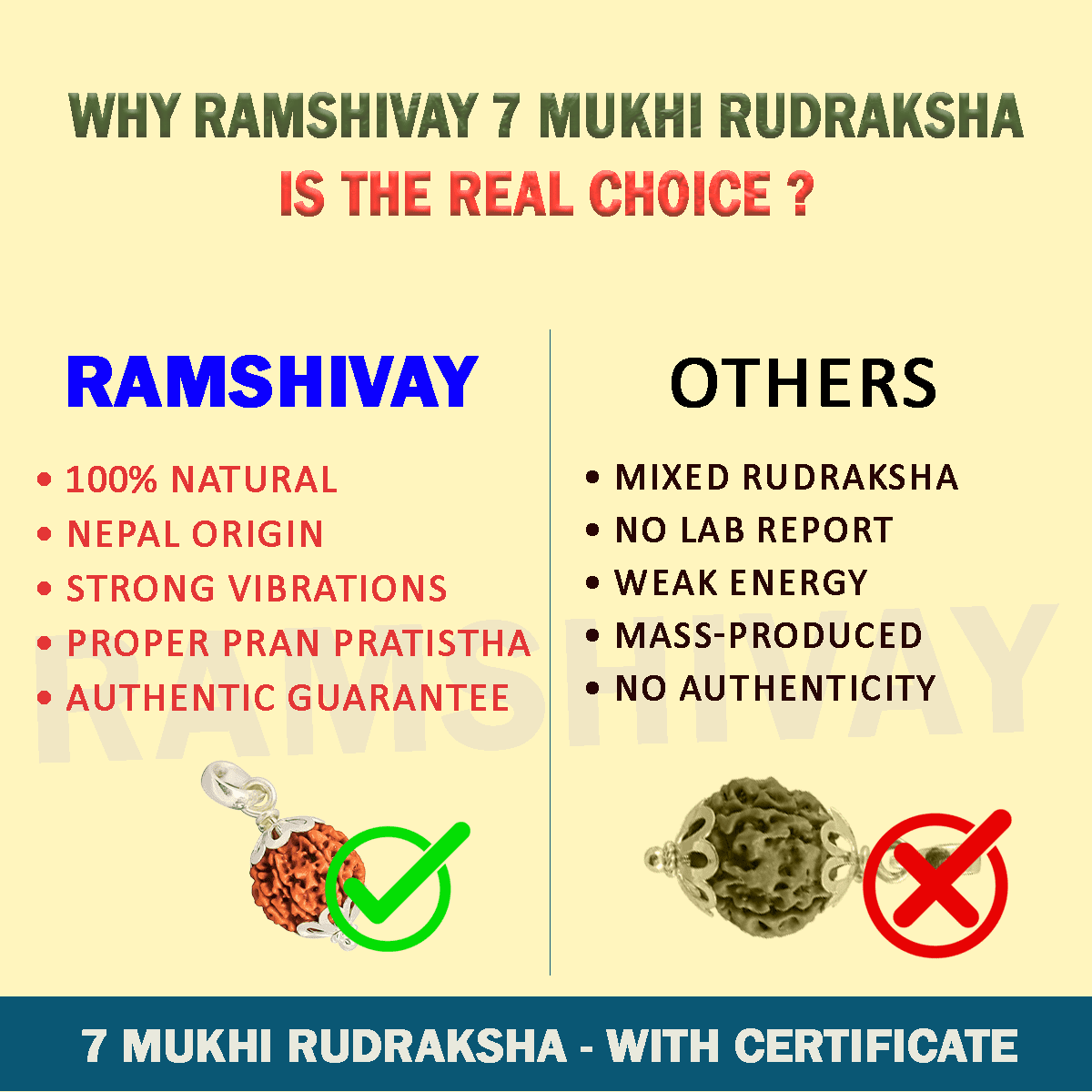 Original 7 Mukhi Rudraksha with Lab Certificate for Wealth & Prosperity – Ramshivay - Ramshivay