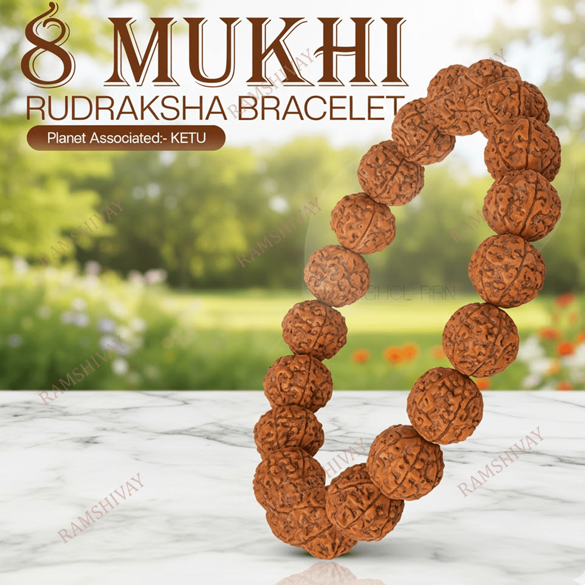 Original 8 Mukhi Rudraksha Bracelet with Lab Certificate for Stability โ Ramshivay - Ramshivay