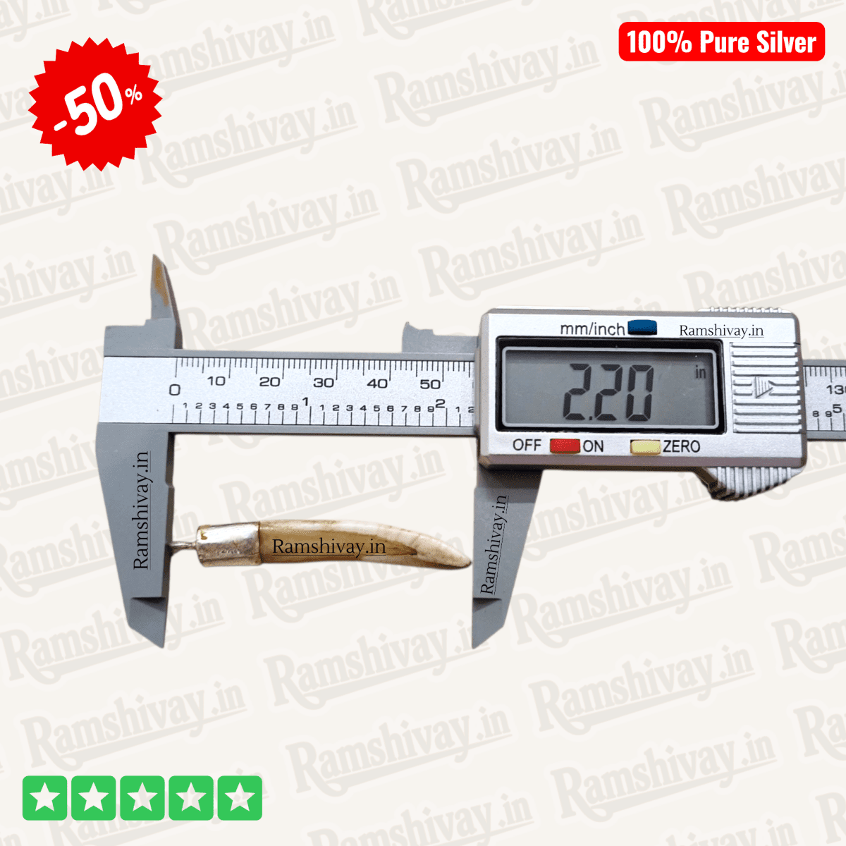 Original Boar Teeth for Men (Shukar Dant, Suar Ka Dant) with Silver Locket | Nazar Protection, Courage & Positivity – Ramshivay - Ramshivay