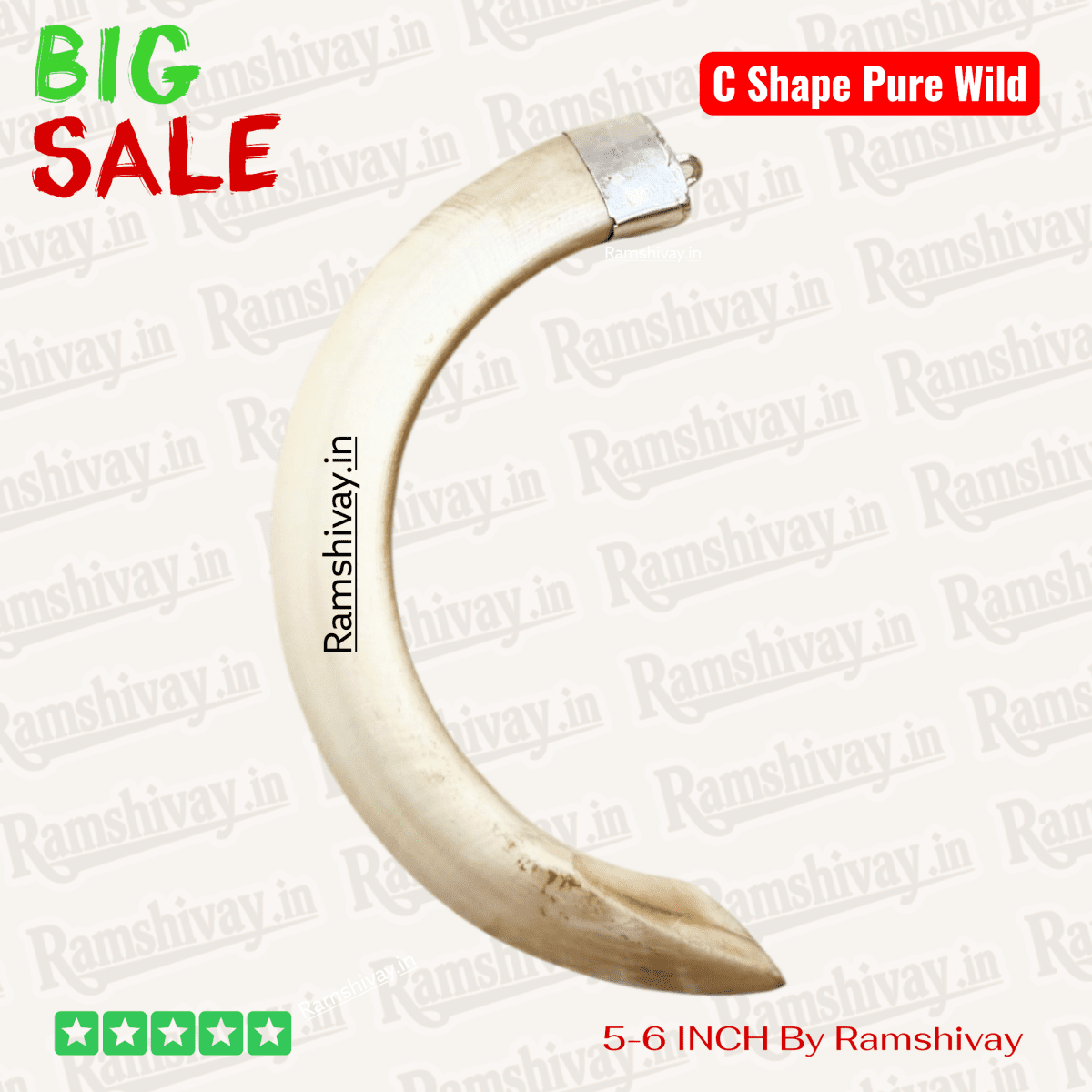 Original C‑Shape Shukar Dant (Wild Boar Teeth) Silver Locket for Men & Women with Energised Option | Nazar Protection & Prosperity – Ramshivay - Ramshivay