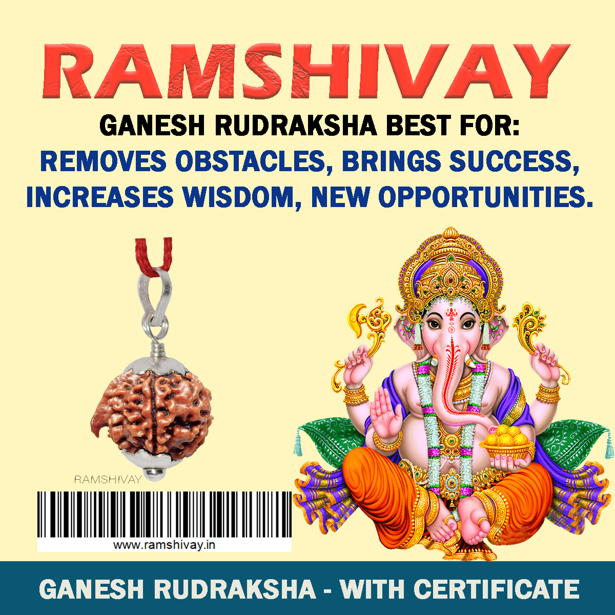 Original Ganesh Rudraksha with Lab Certificate for Success & Prosperity – Ramshivay - Ramshivay