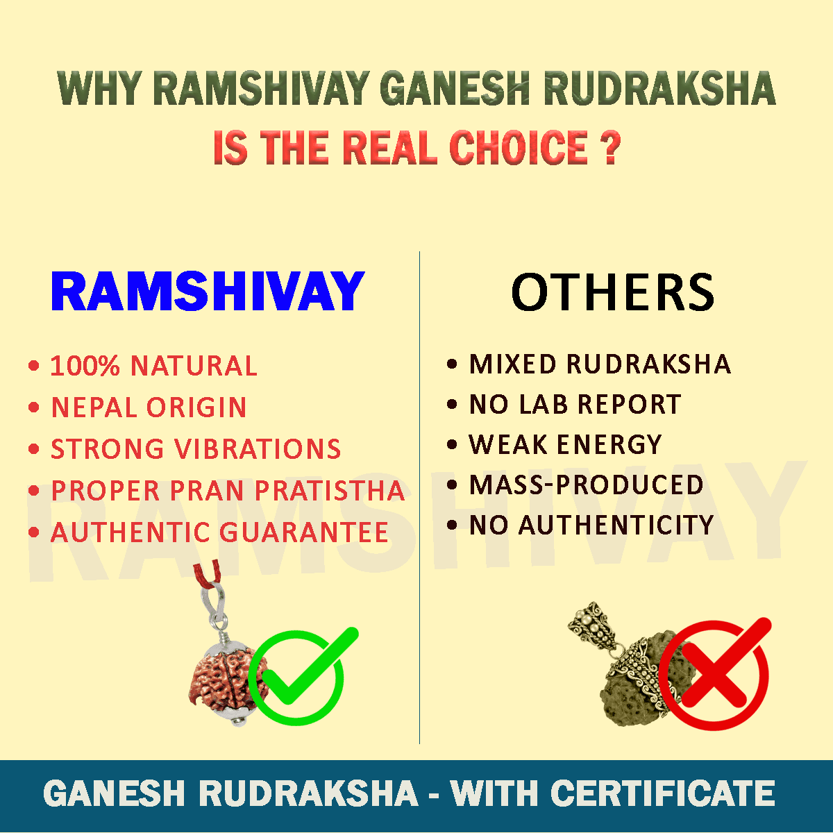 Original Ganesh Rudraksha with Lab Certificate for Success & Prosperity – Ramshivay - Ramshivay