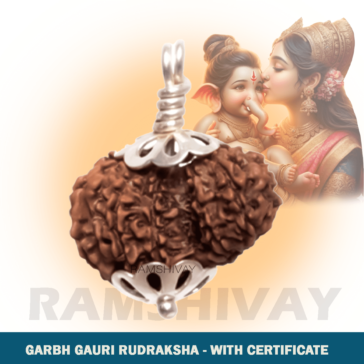 Original Garbh Gauri Rudraksha with Lab Certificate for Fertility & Safe Pregnancy β Ramshivay - Ramshivay