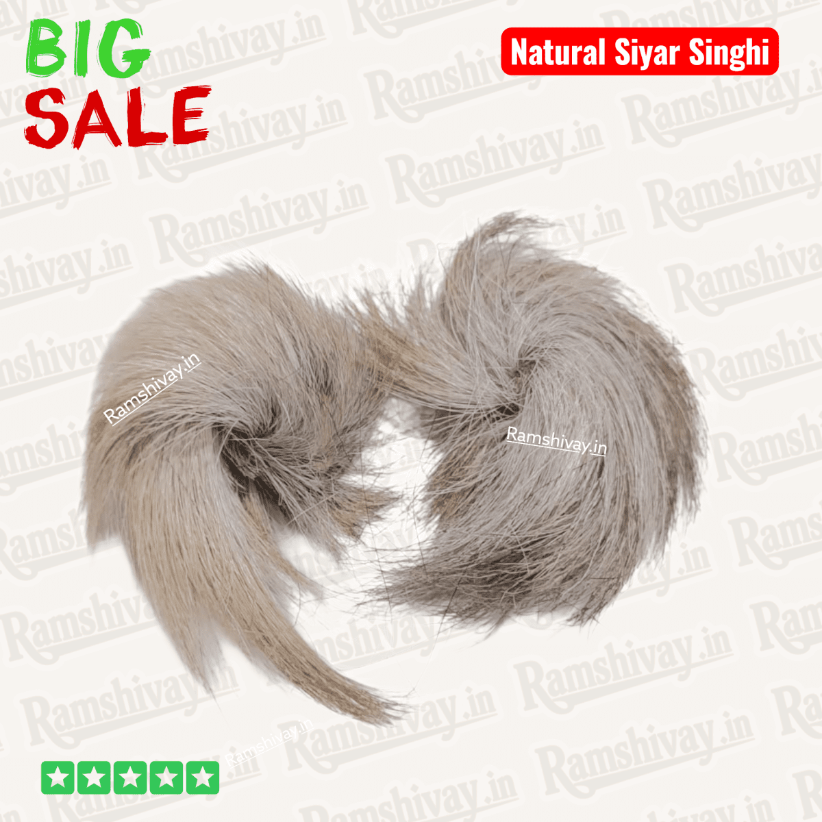 Original Gidar Singhi – Natural Siyar Singhi Joda with Divine Pair Energy | Protection & Success Charm – Ramshivay - Ramshivay