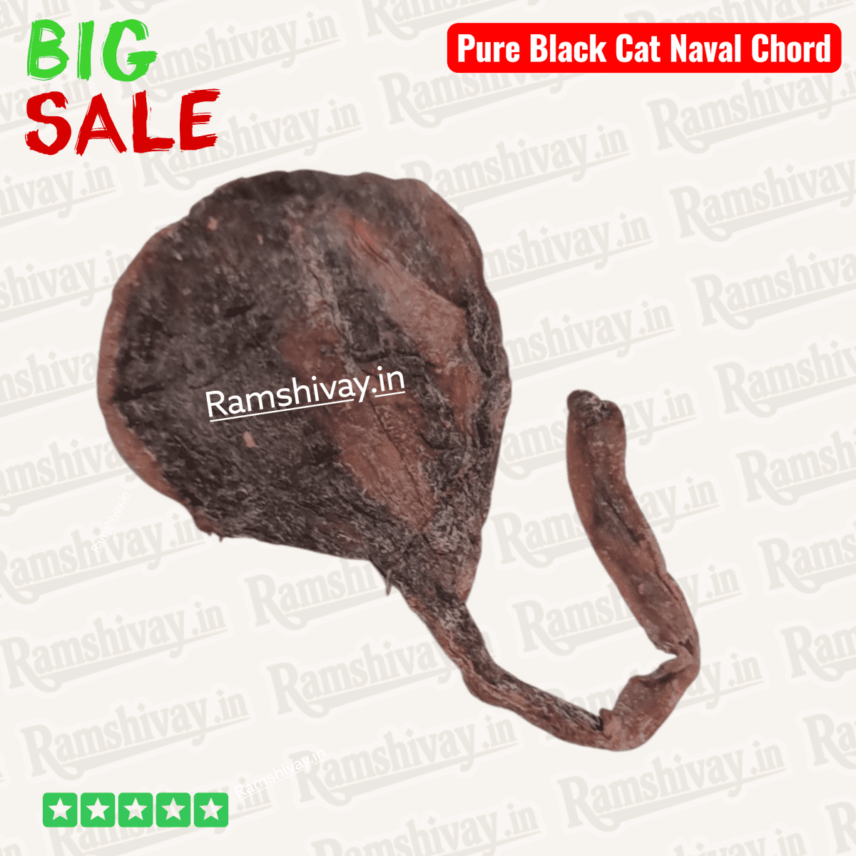 Original Kaali Billi Ki Jer (Billi ki Naal) – Black Cat Naval Chord with Certified Authenticity | Wealth, Protection & Attraction – Ramshivay - Ramshivay