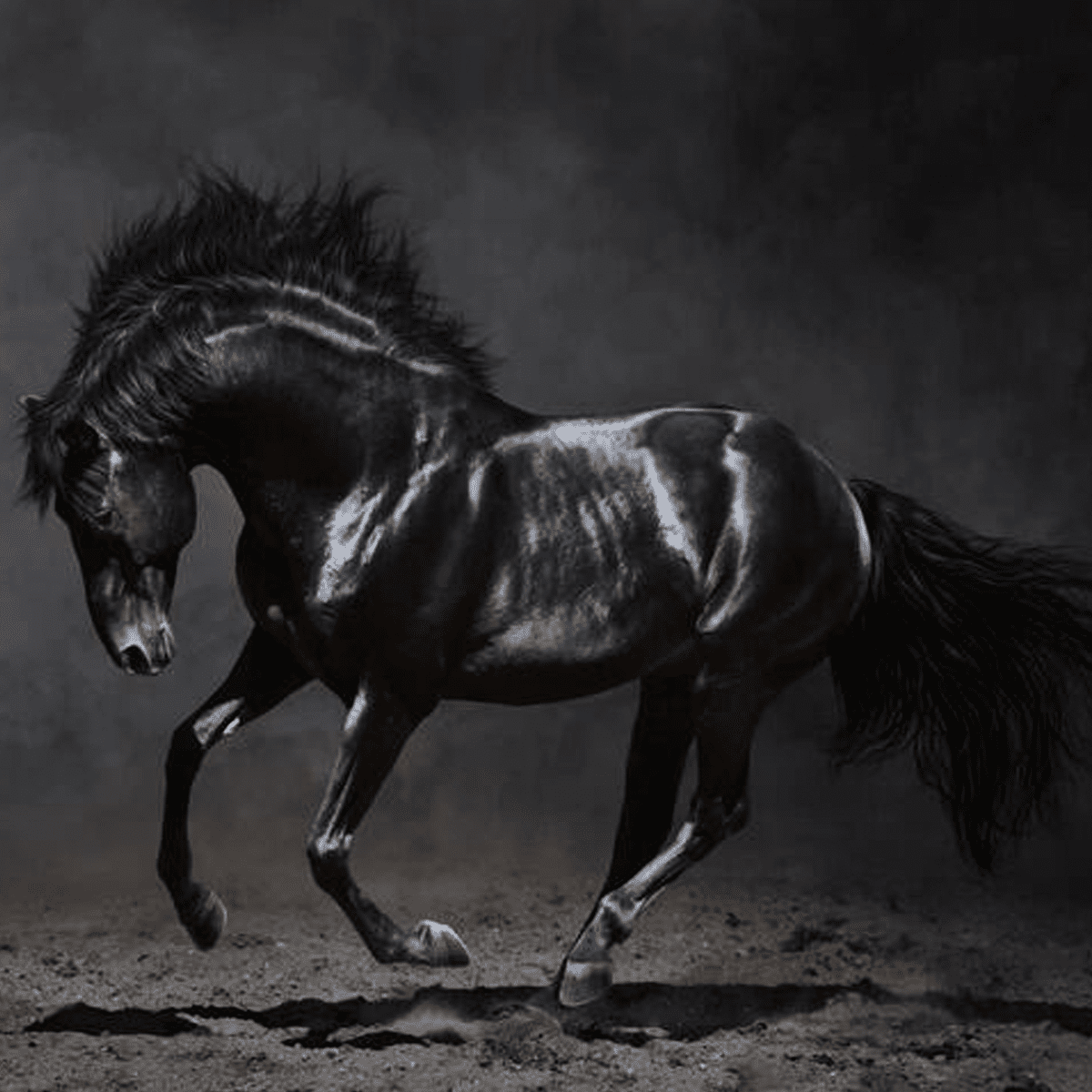 Original Kale Ghode Ki Naal and Ring Set for Protection & Luck – Ramshivay - Ramshivay