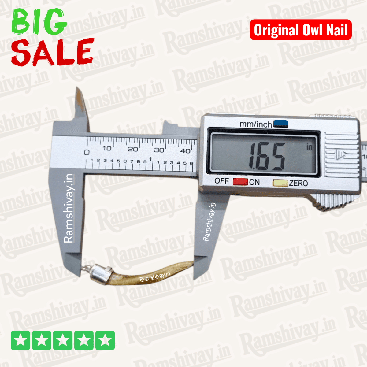 Original Owl Nail Pendant (Ullu ka Nakhun) with Pure Silver Setting | Wealth, Protection & Business Success – Ramshivay - Ramshivay