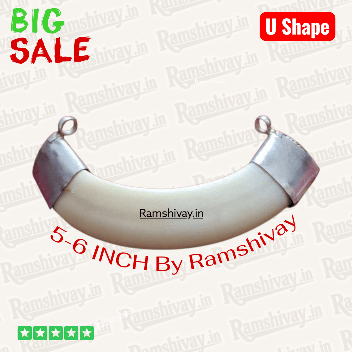 Original U‑Shape Shukar Dant (Wild Boar Teeth) Silver Locket with Double‑Side Silver Caps | Nazar Protection & Courage – Ramshivay - Ramshivay