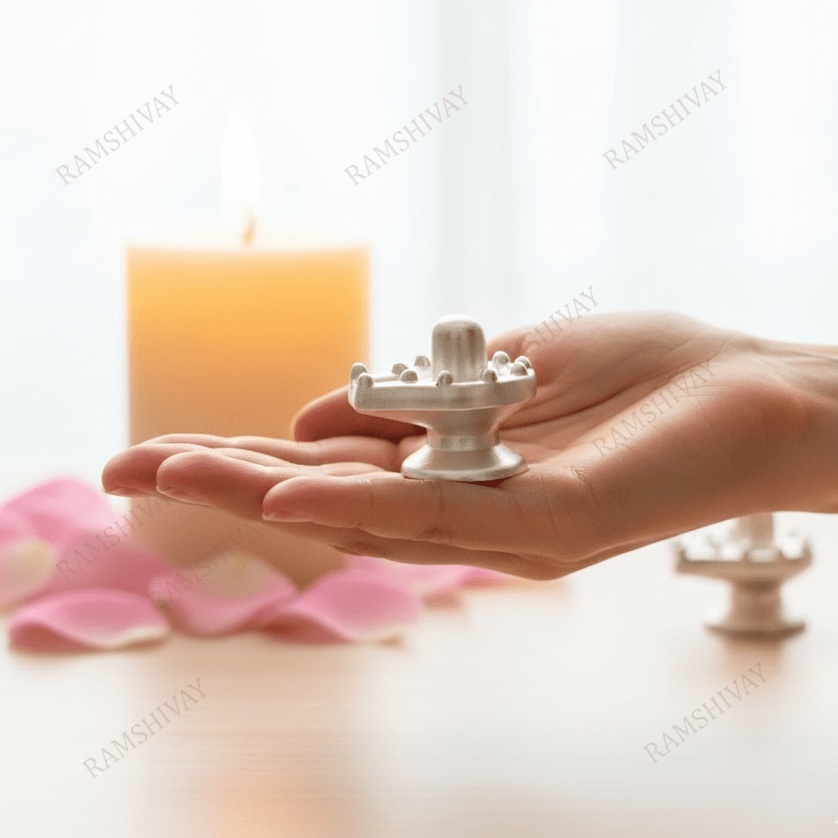 Parad Shivling with 12 Jyotirlinga Swaroop - Lab Certified Pure Mercury – Ramshivay - Ramshivay