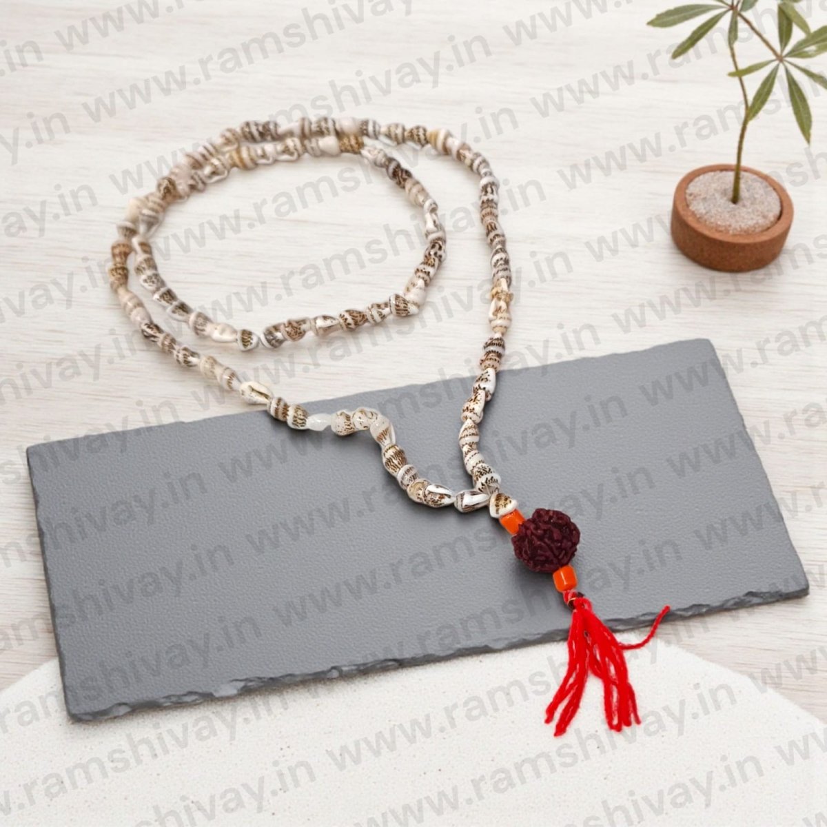 Shankh Mala with 5 Mukhi Rudraksha & Lab Certificate | Natural Conch Beads Mala for Japa & Wearing – Ramshivay - Ramshivay