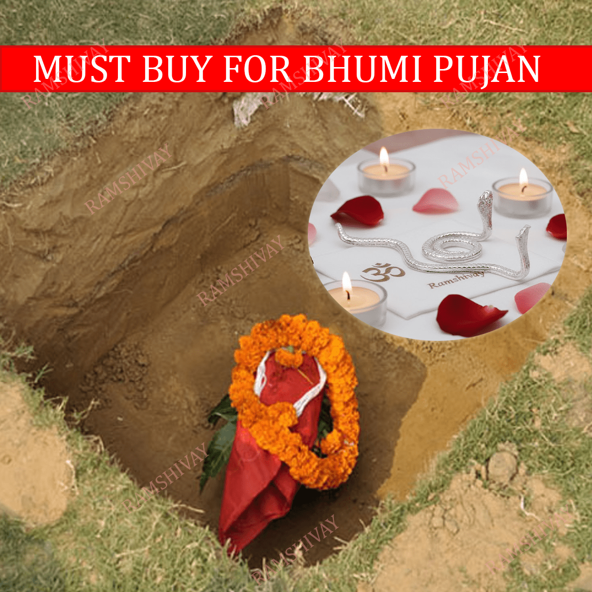 Silver Naag Nagin Joda - Pure Metal Craft for Bhumi Pujan & Kaal Sarp Dosh – Ramshivay - Ramshivay