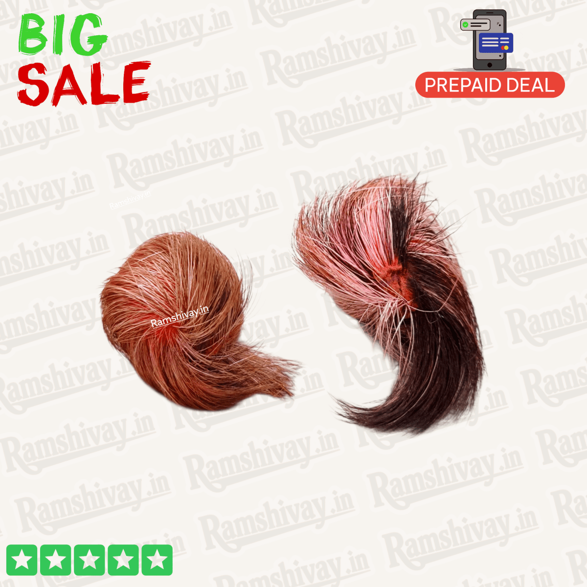 Siyar Singhi Pair – Natural and Certified Gidar Singhi Joda with Male‑Female Energy | Protection & Fortune Symbol – Ramshivay - Ramshivay