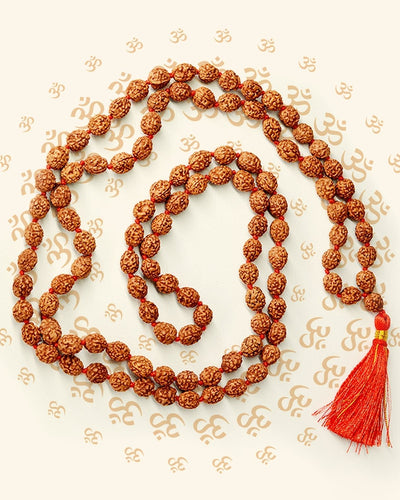 2 Mukhi Rudraksha Mala Pehenne Ke Chamatkari Fayde aur Asli Pehchan