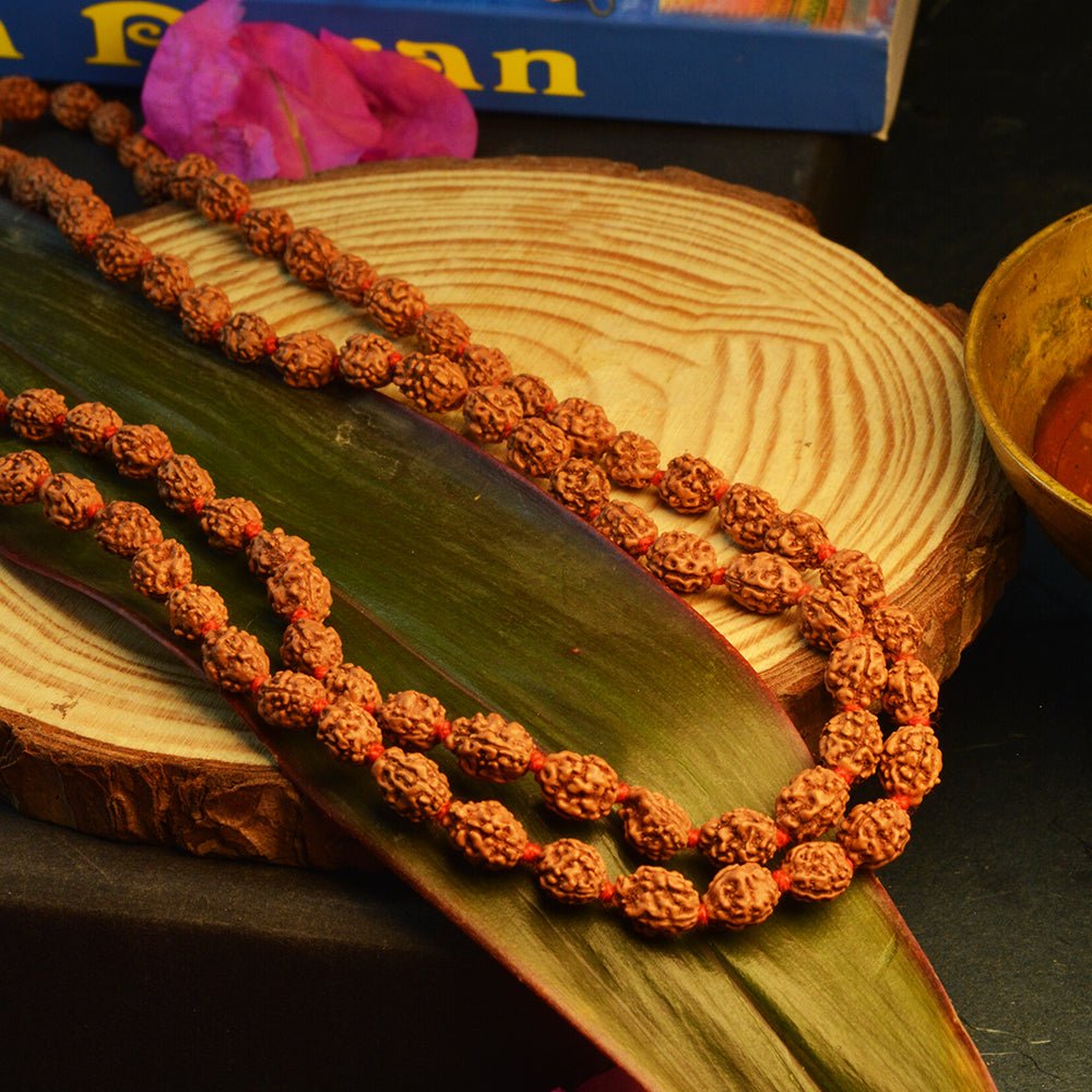 3 Mukhi Rudraksha Mala Ke Fayde: Dharan Karne Ki Vidhi aur Mahatva | Ramshivay - Ramshivay