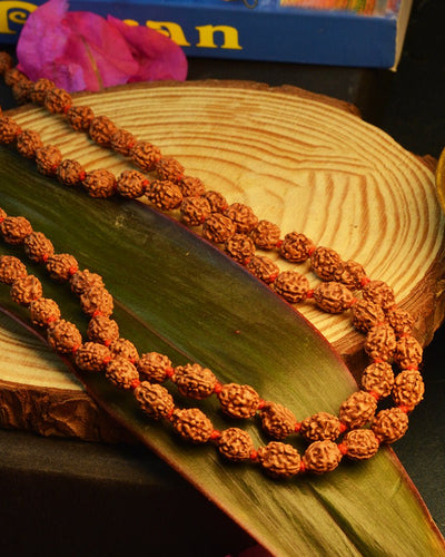 3 Mukhi Rudraksha Mala Ke Fayde: Dharan Karne Ki Vidhi aur Mahatva | Ramshivay