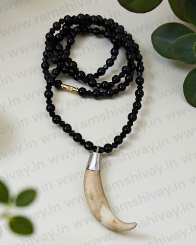 Shukar Dant Ke Fayde Aur Asar | Suar Ka Dant