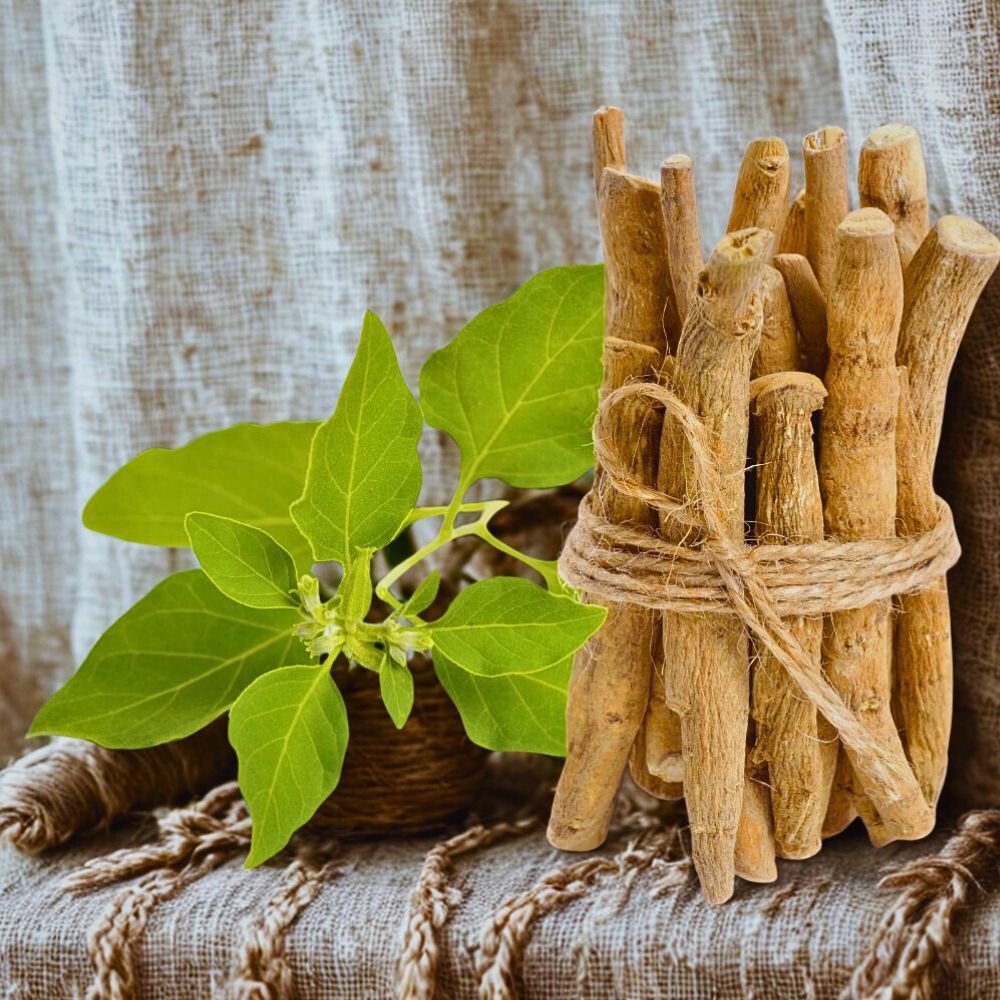 Ashwagandha Root Whole (250 g) with Jaivik Bharat Certification | Helps Reduce Anxiety & Stress – Ramshivay - Ramshivay