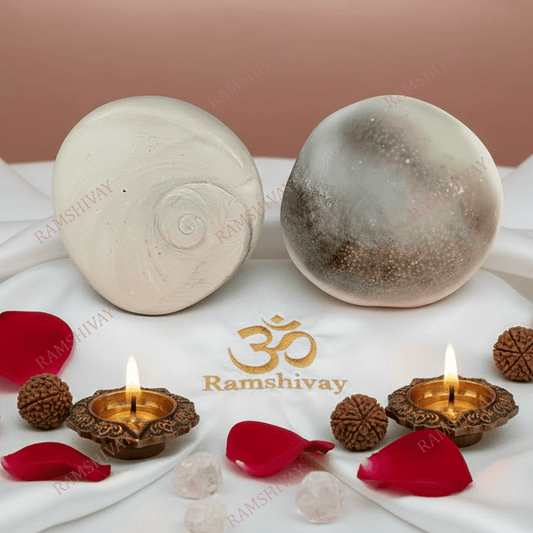 Big Size Gomti Chakra Set of 2 - Natural Healing for Wealth & Protection – Ramshivay - Ramshivay