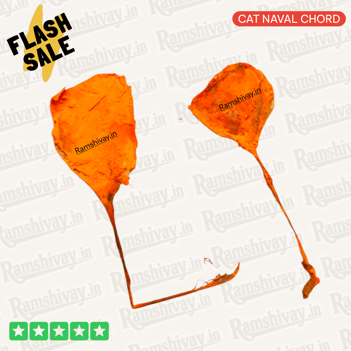 Billi Ki Jer – Natural and Certified Billi ki Naal (Cat Naval Chord) with Positive Energy | Protection & Success Talisman – Ramshivay - Ramshivay