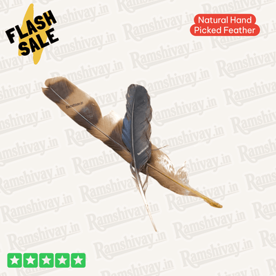 Combo of Owl & Crow Feathers (Ullu Ka Pankh + Kauwe Ka Pankh) with Lab Certificate | Remedies, Protection & Prosperity – Ramshivay