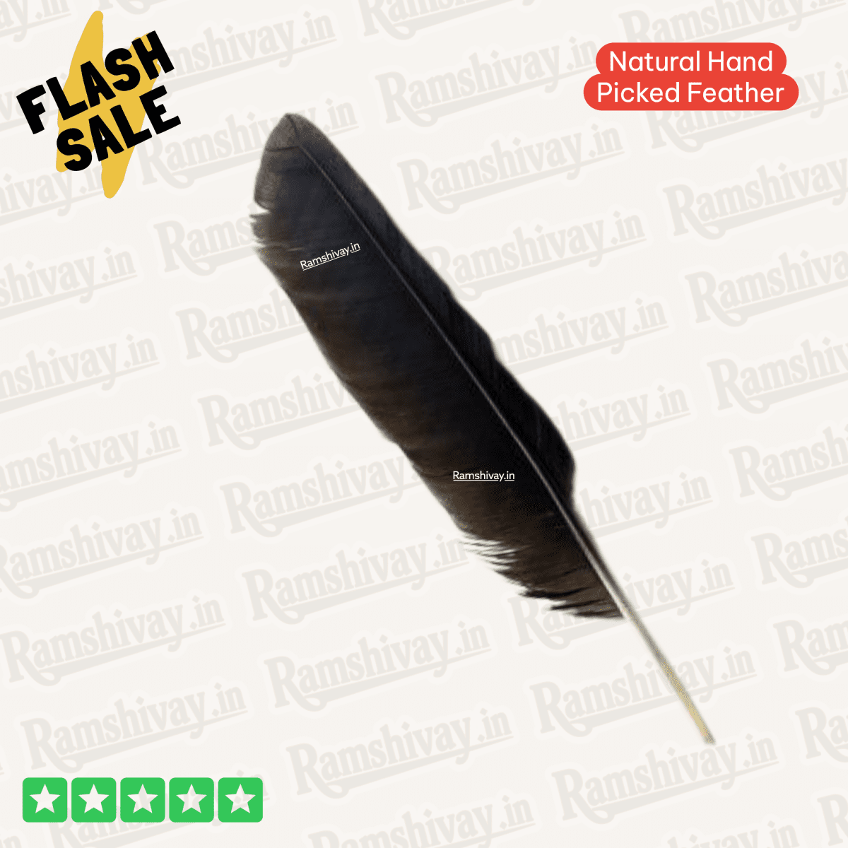 Combo of Owl & Crow Feathers (Ullu Ka Pankh + Kauwe Ka Pankh) with Lab Certificate | Remedies, Protection & Prosperity – Ramshivay - Ramshivay