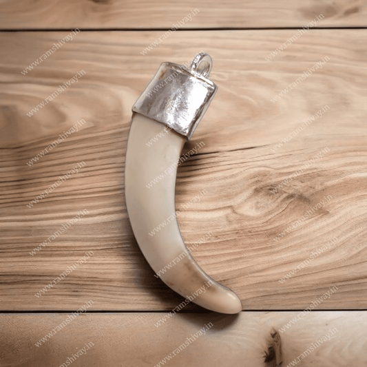 Jungali Suar Ka Dant (Shukar Dant) with Pure Silver Locket & Lab Certificate | Protection, Prosperity & Courage – Ramshivay - Ramshivay