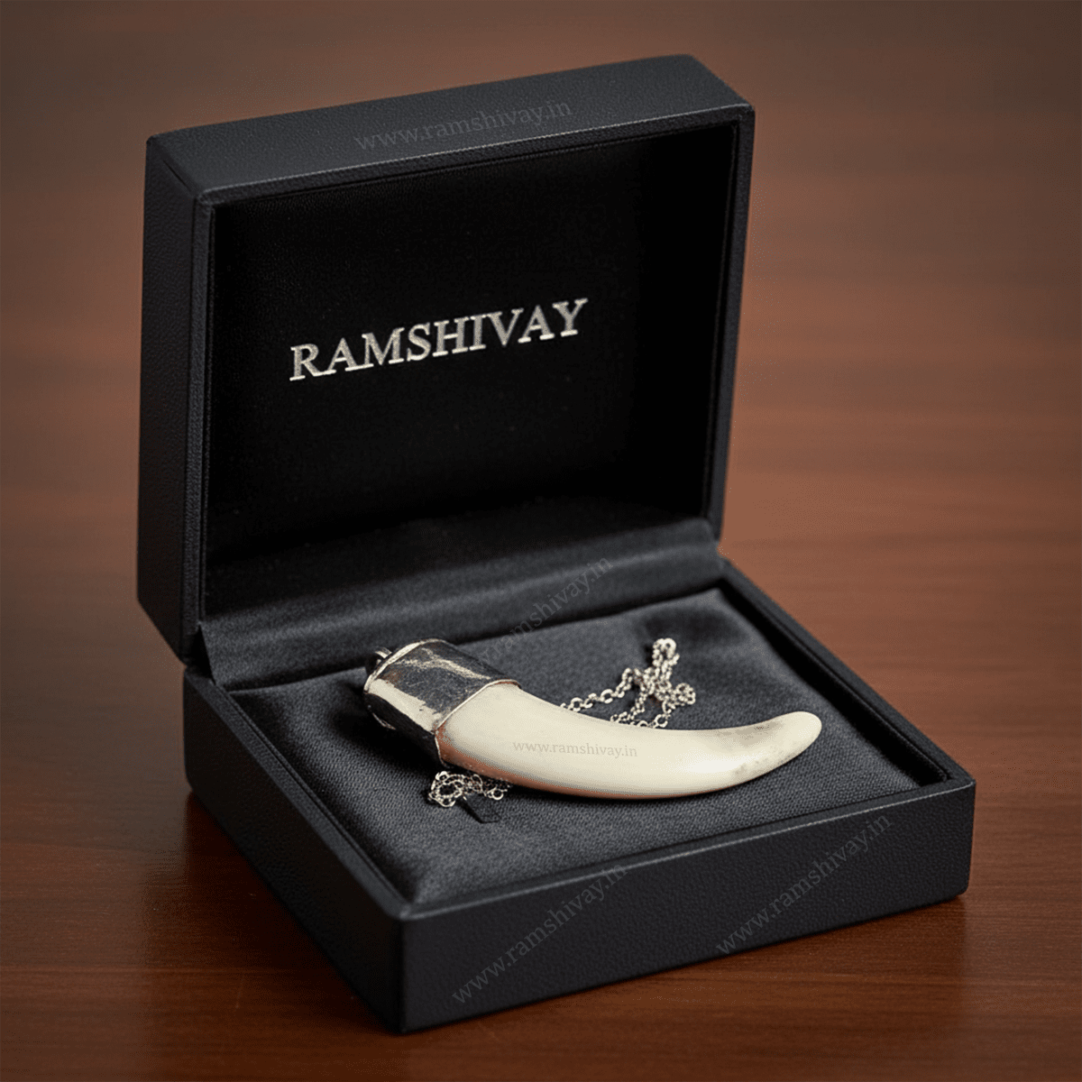 Jungali Suar Ka Dant (Shukar Dant) with Pure Silver Locket & Lab Certificate | Protection, Prosperity & Courage – Ramshivay - Ramshivay