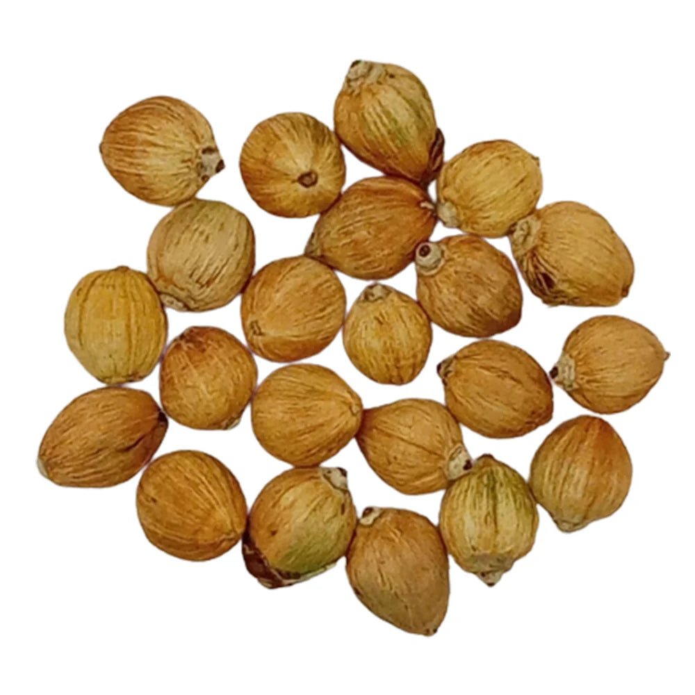 Laghu Nariyal for Pooja (50 Pcs) with Natural Dry Small Shriphal | For Mahalaxmi, Kuber Puja & Daily Rituals – Ramshivay - Ramshivay